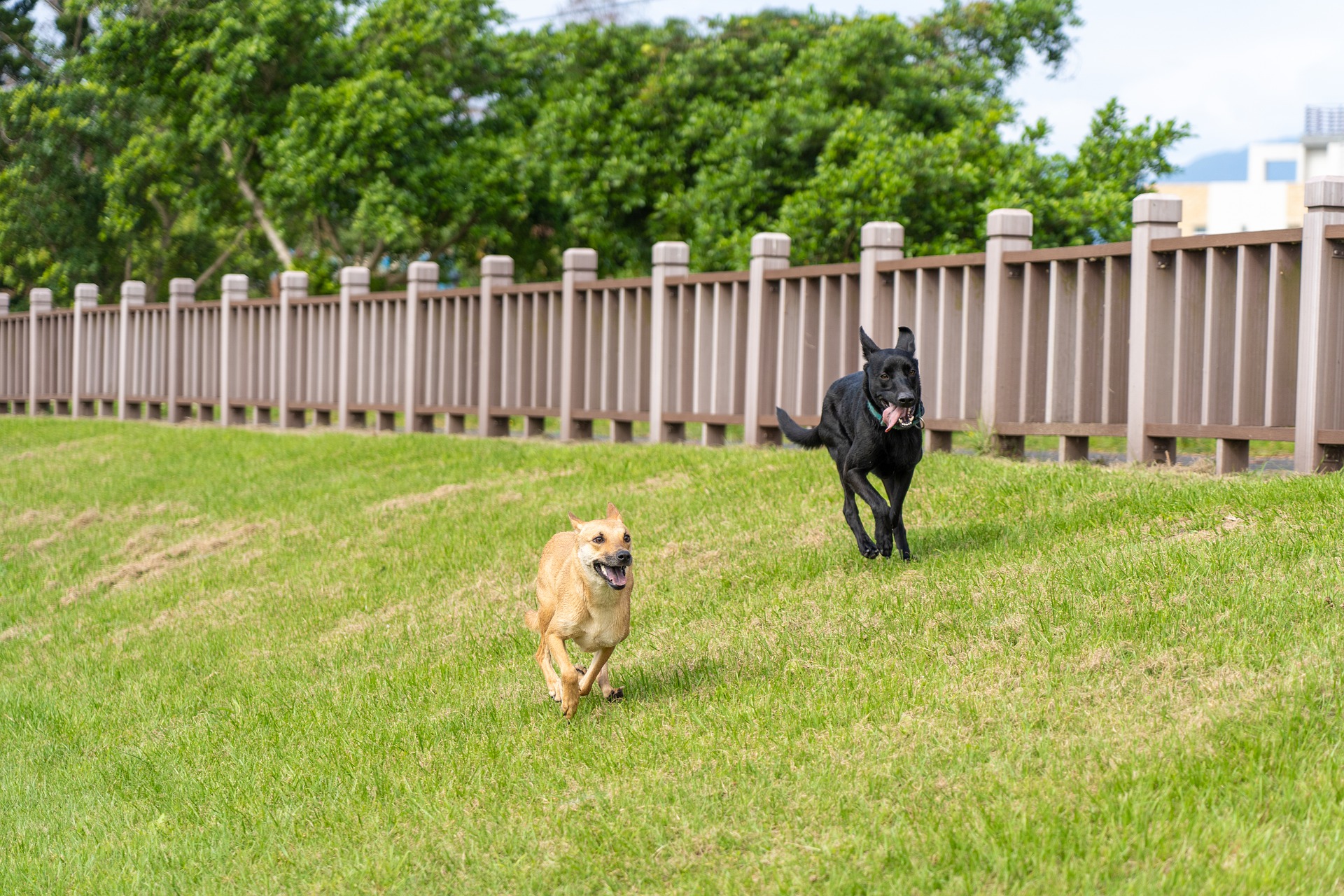 west bend dog run installation, dog run installation in west bend, west bend dog fence installation