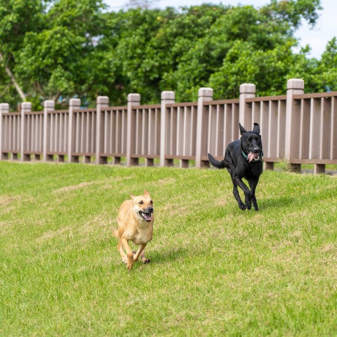 Fence Builders in Fond Du Lac, residential fencing Fond Du Lac, Fond Du Lac fence company