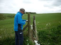 Fence Repair West Bend, WI