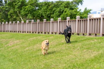 fencing company in West Bend, West Bend fencing company, top rated fencing company in West Bend